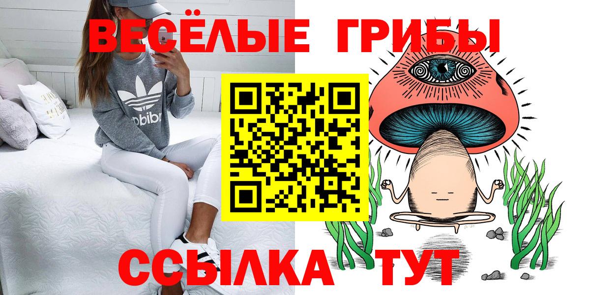 Псилоцибиновые грибы прущие грибы Самара